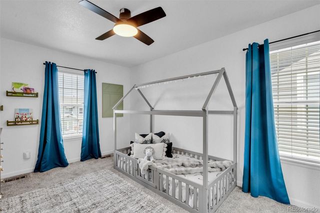 3366 Fantasy Place, Castle Rock, CO 80109