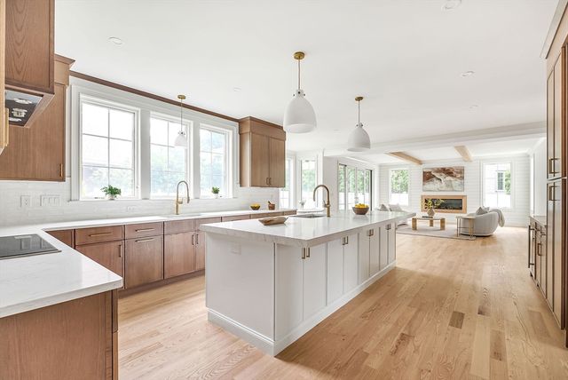 67 Van Roosen, Newton, MA 02459
