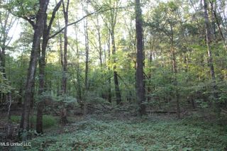 1800 Union Valley Road, Byhalia, MS 38611