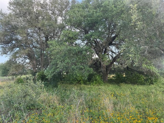 TBD Hwy 90a, Columbus, TX 78934