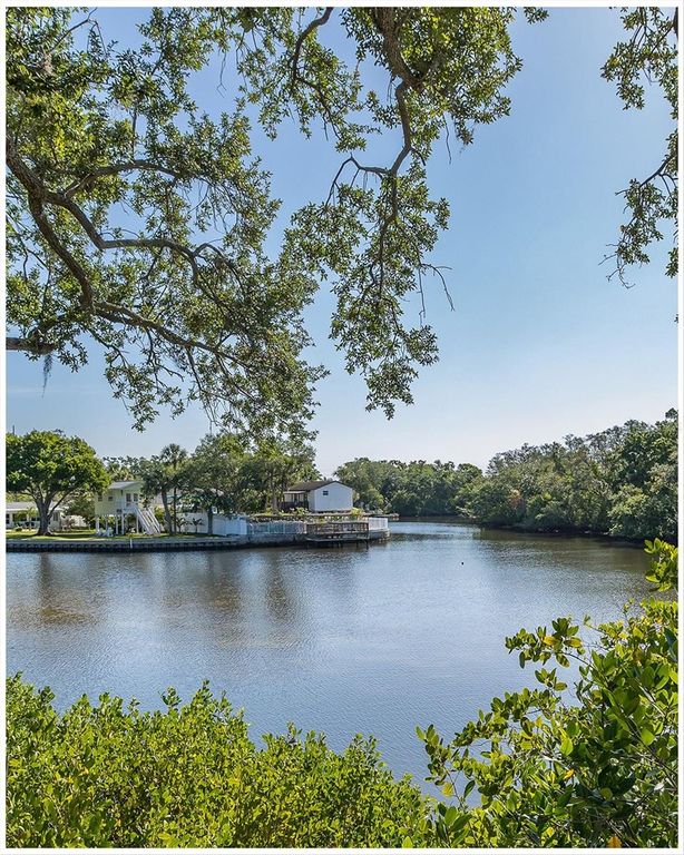 Image 41 of property listing at 9001 TUDOR DRIVE H210, Tampa, FL 33615