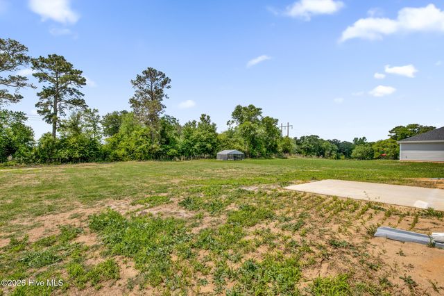 245 Buggy Top Lane, Autryville, NC 28318