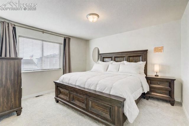 7732 Carabiner View, Colorado Springs, CO 80923