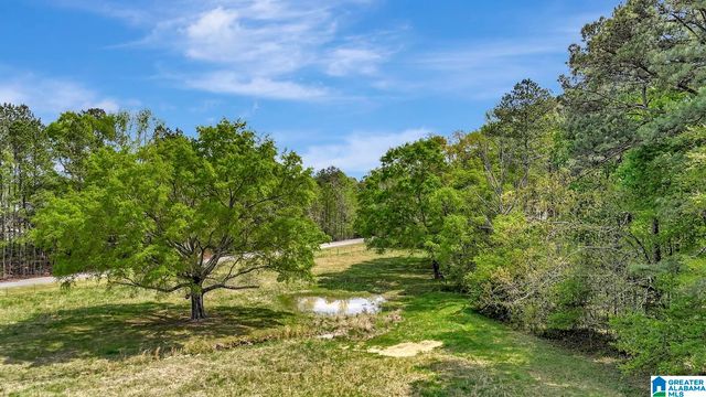 515 HOYT HILL ROAD, Ashville, AL 35953