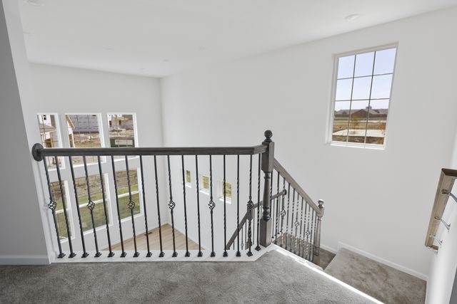 12965 S Twin Pines Lane, Plainfield, IL 60585