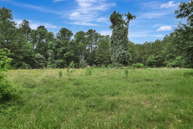 33207 Walnut Grove Drive, Magnolia, TX 77355