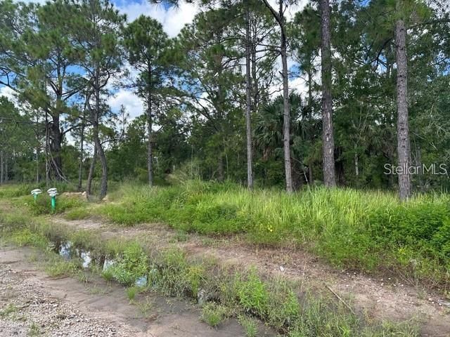 274 SPOONBILL DRIVE, Kissimmee, FL 34759