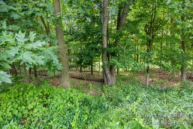 7670 Wood Violet Court, Ada, MI 49301