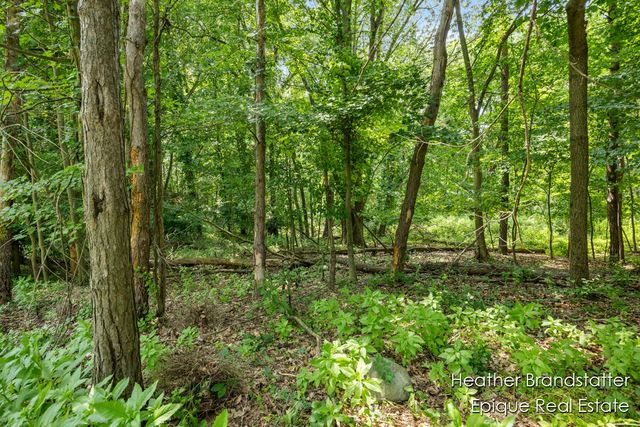 7670 Wood Violet Court, Ada, MI 49301