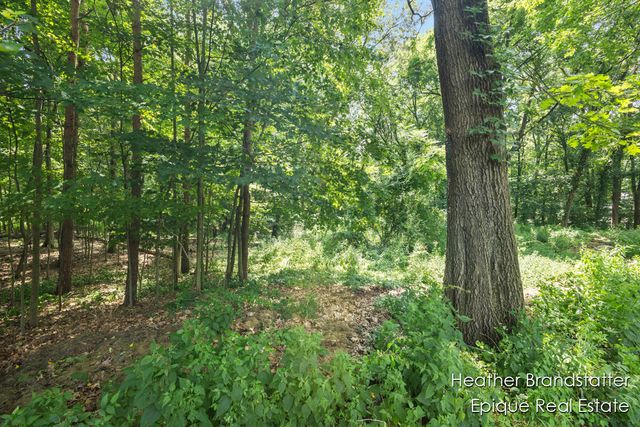 7670 Wood Violet Court, Ada, MI 49301