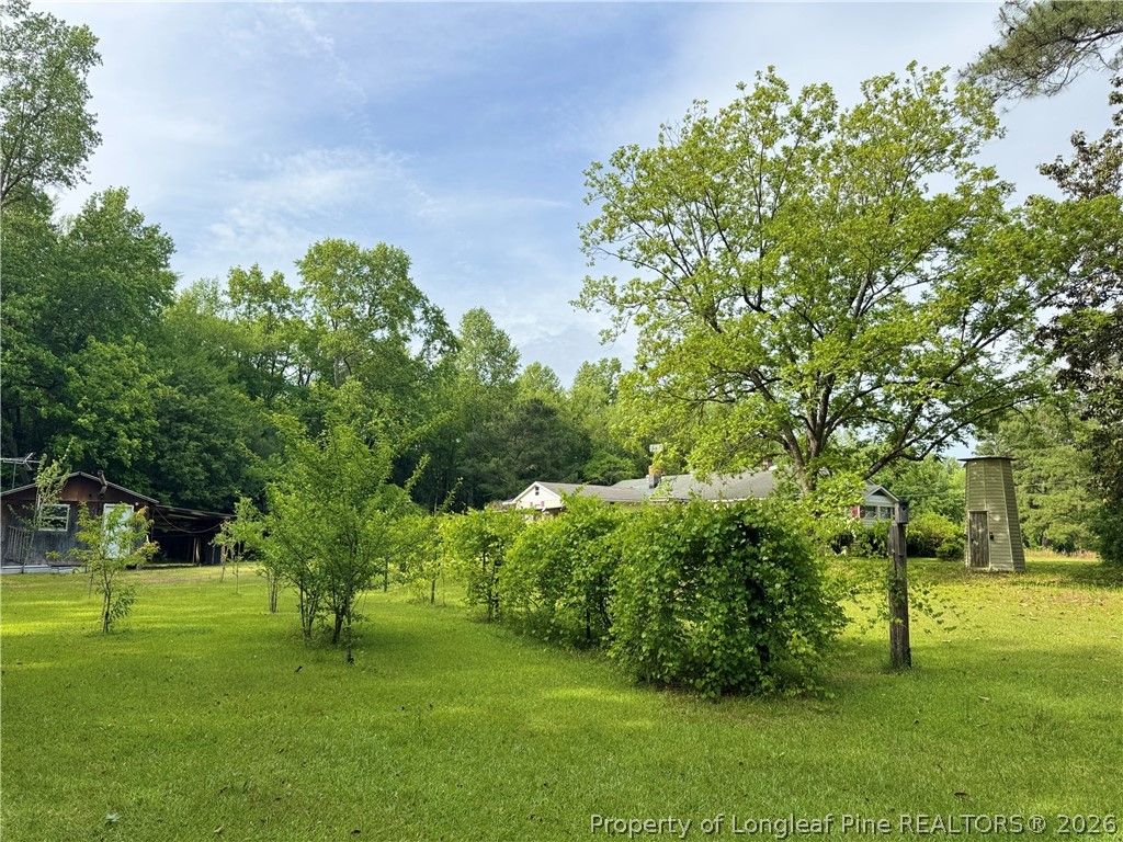 170 South River Road, Autryville, NC 28318 — photo 3