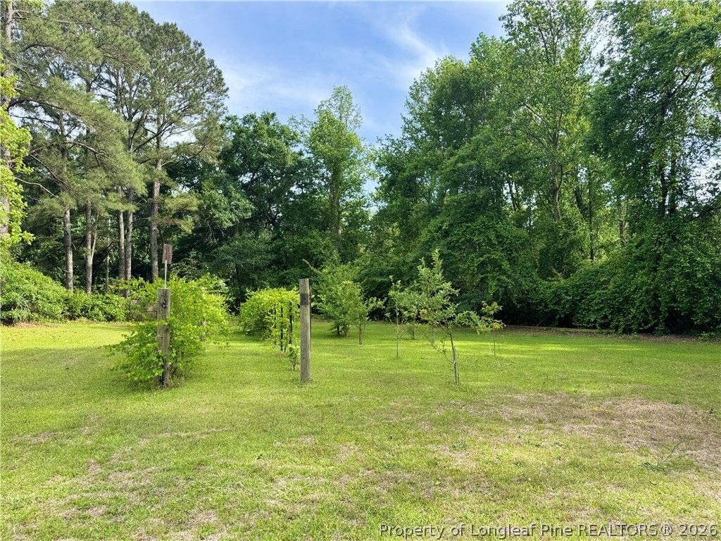 170 South River Road, Autryville, NC 28318 — photo 5
