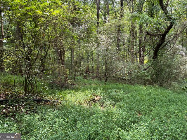 5420 Cantrell Road, Dawsonville, GA 30534
