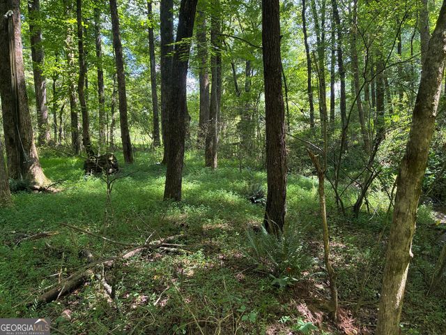 5420 Cantrell Road, Dawsonville, GA 30534