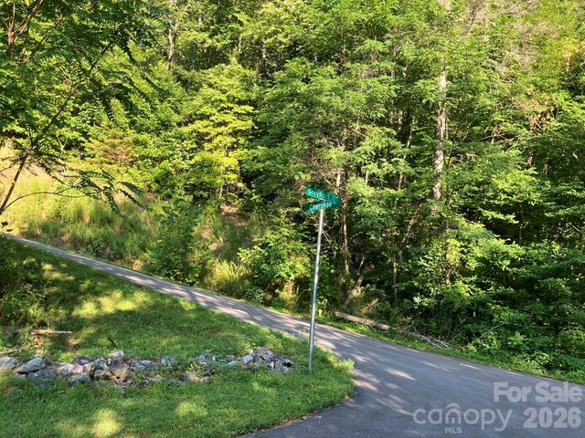 0 Cherokee Trail 6, Lake Lure, NC 28746