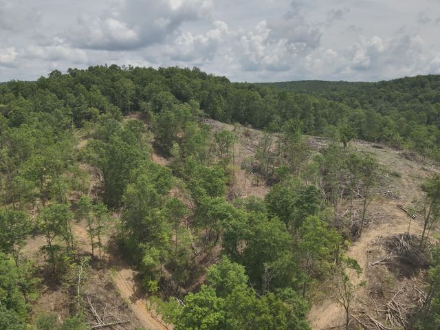 8821 Highway 412, E, Linden, TN 37096