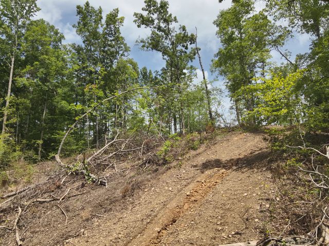 8821 Highway 412, E, Linden, TN 37096