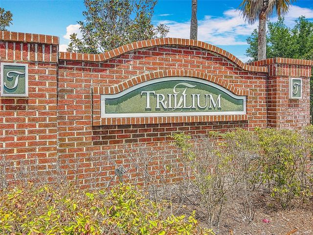 647 ALPINE THISTLE DRIVE, Brooksville, FL 34604