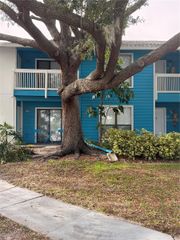 455 ALT 19 S 141, Palm Harbor, FL 34683