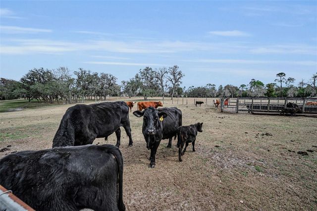 7230 OLD HOMESTEAD ROAD, New Port Richey, FL 34654