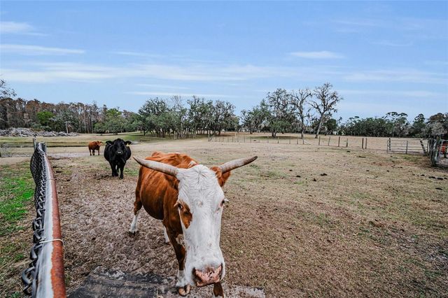 7230 OLD HOMESTEAD ROAD, New Port Richey, FL 34654