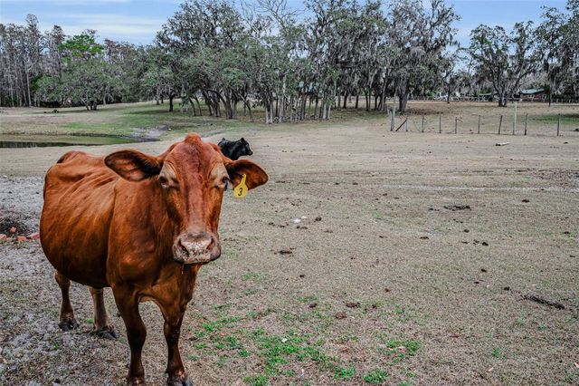 7230 OLD HOMESTEAD ROAD, New Port Richey, FL 34654