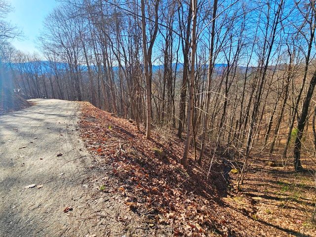 Lot 67 Wilderness Creek Way, Hothouse, NC 28906