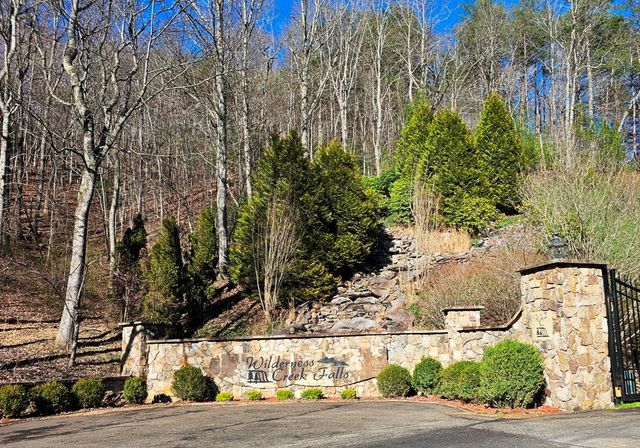 Lot 67 Wilderness Creek Way, Hothouse, NC 28906