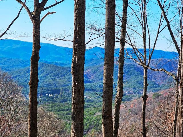 Lot 67 Wilderness Creek Way, Hothouse, NC 28906