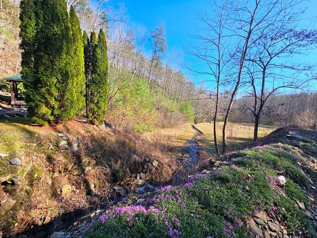 Lot 67 Wilderness Creek Way, Hothouse, NC 28906