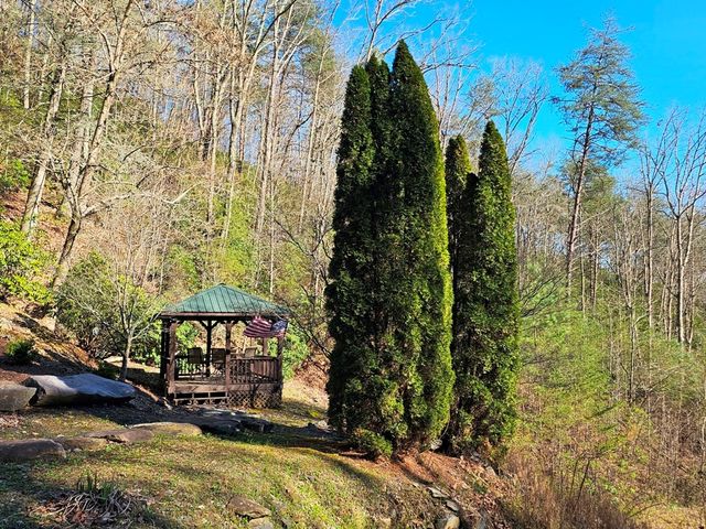 Lot 67 Wilderness Creek Way, Hothouse, NC 28906