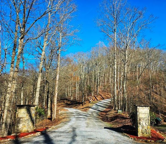 Lot 67 Wilderness Creek Way, Hothouse, NC 28906