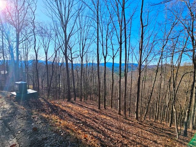 Lot 67 Wilderness Creek Way, Hothouse, NC 28906