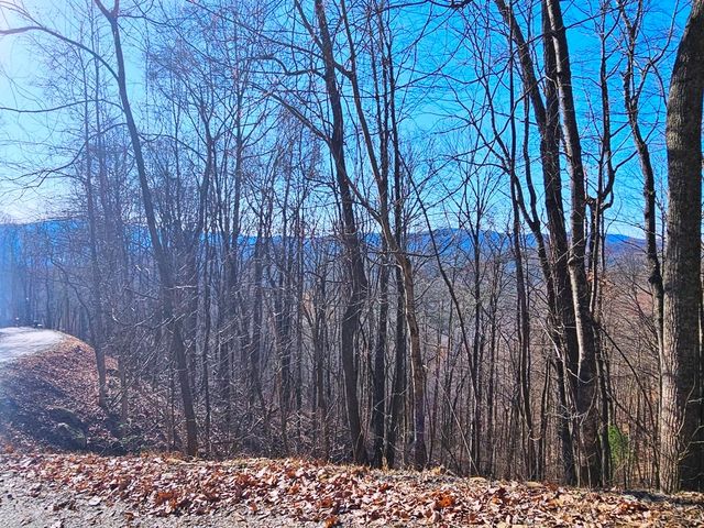 Lot 67 Wilderness Creek Way, Hothouse, NC 28906