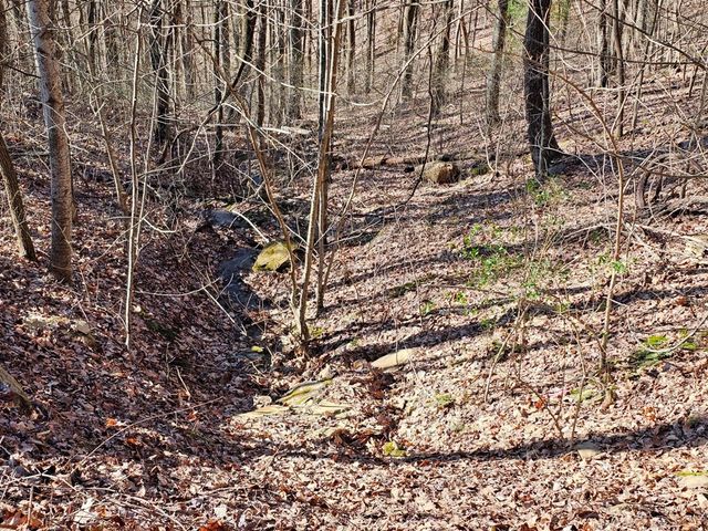 Lot 67 Wilderness Creek Way, Hothouse, NC 28906