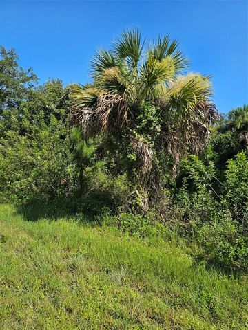 18137 SINATRA AVENUE, Port Charlotte, FL 33954