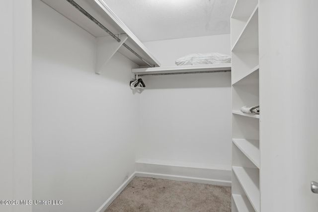203 Persimmon Hill, Ridgeland, MS 39157