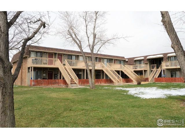 804 Stone Mountain Dr 204, Windsor, CO 80550