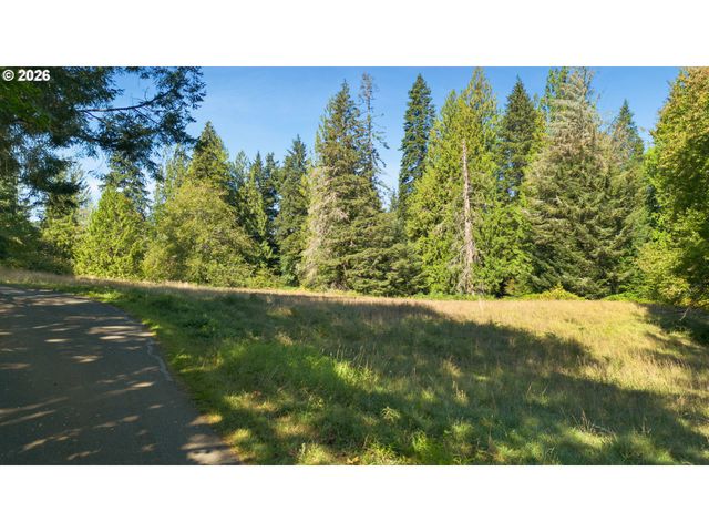 0 BROWN Rd 1, Washougal, WA 98671