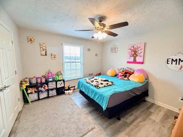 542 Aedc Lakeview Rd, Estill Springs, TN 37330