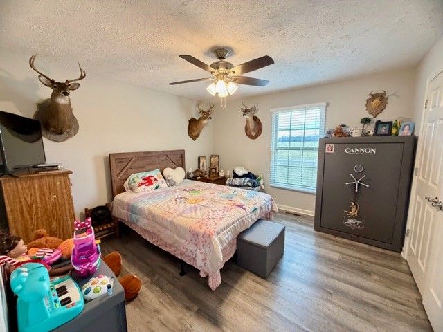 542 Aedc Lakeview Rd, Estill Springs, TN 37330