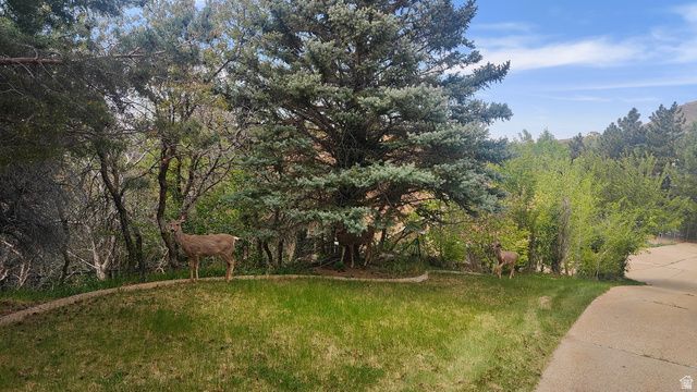6169 S 2850 E, Uintah, UT 84403