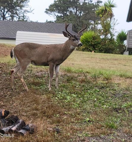 38882 Honey Run Lane, Gualala, CA 95445