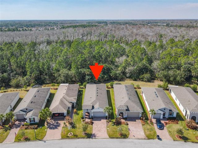 293 VESTRELLA DRIVE, Poinciana, FL 34759