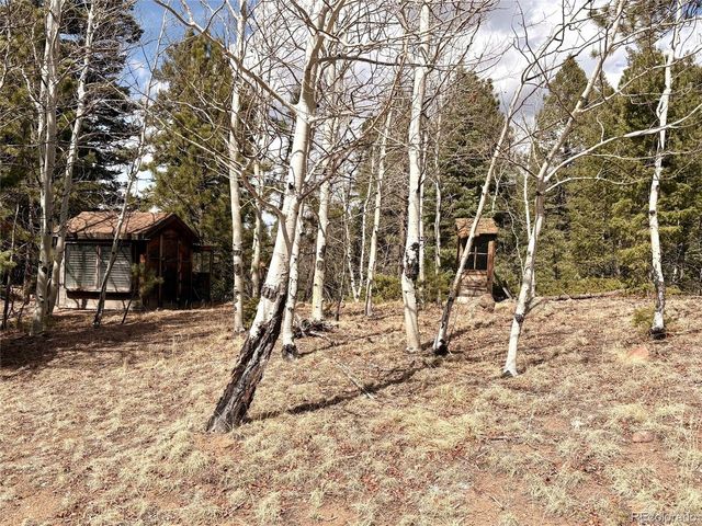 2121 Cr 1, Florissant, CO 80816