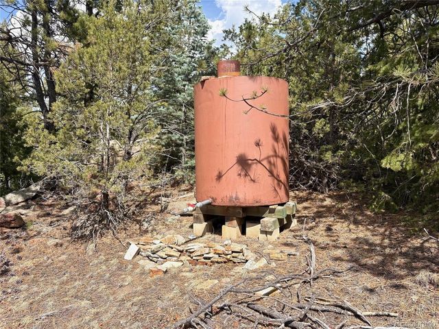 2121 Cr 1, Florissant, CO 80816