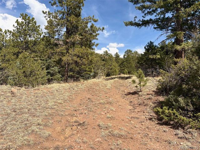 2121 Cr 1, Florissant, CO 80816