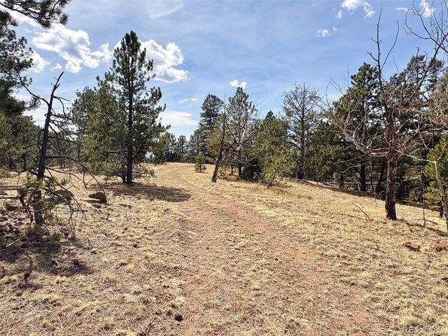2121 Cr 1, Florissant, CO 80816