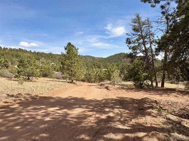 2121 Cr 1, Florissant, CO 80816