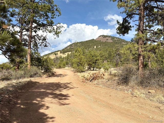 2121 Cr 1, Florissant, CO 80816